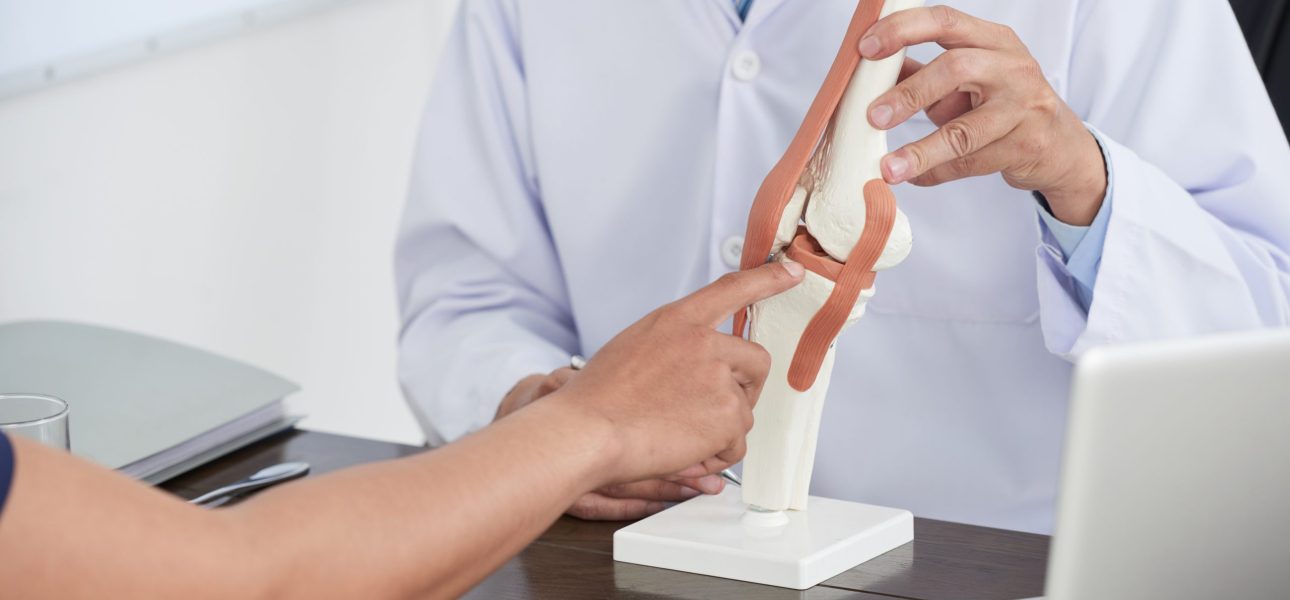 Close-up image of doctor showing model of joint to patient